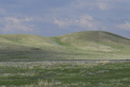  D852876
