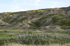  D854529