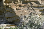  D854720