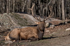  D854970